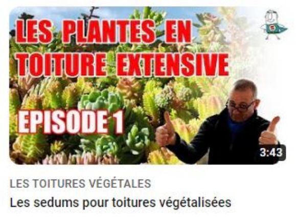 <img src="image.jpg" alt="plante de toiture extensive">