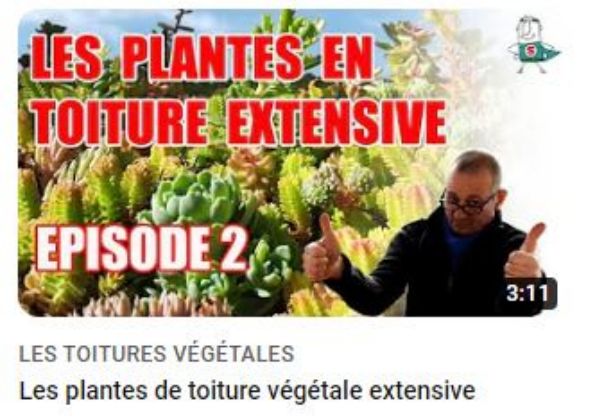 <img src="image.jpg" alt="les sedums de toiture vegetalisee">